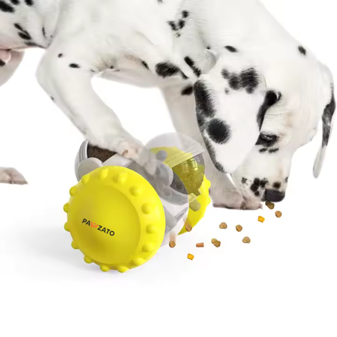 Slow Feeder Toy