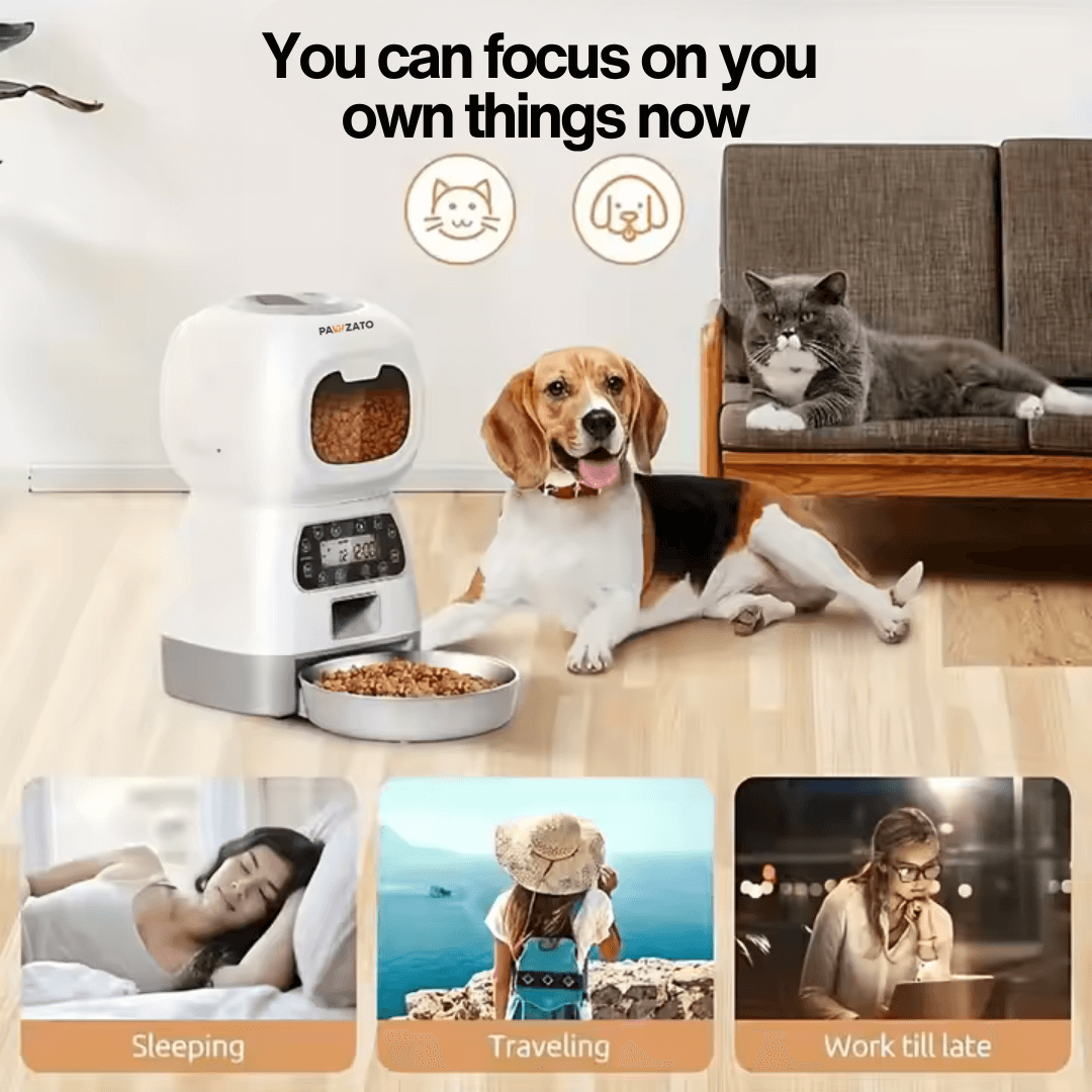 Smart Wifi Feeder