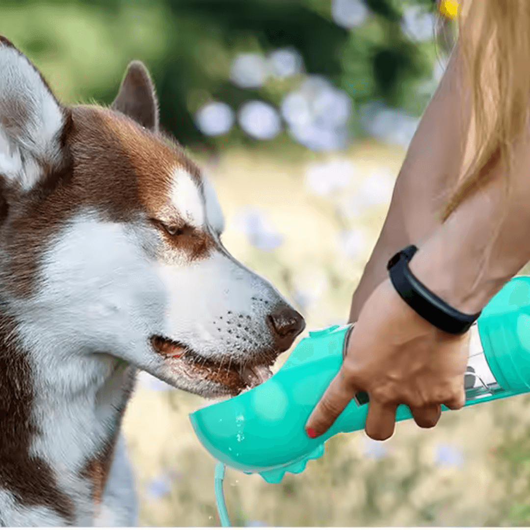 5-in-1 Travel Bottle