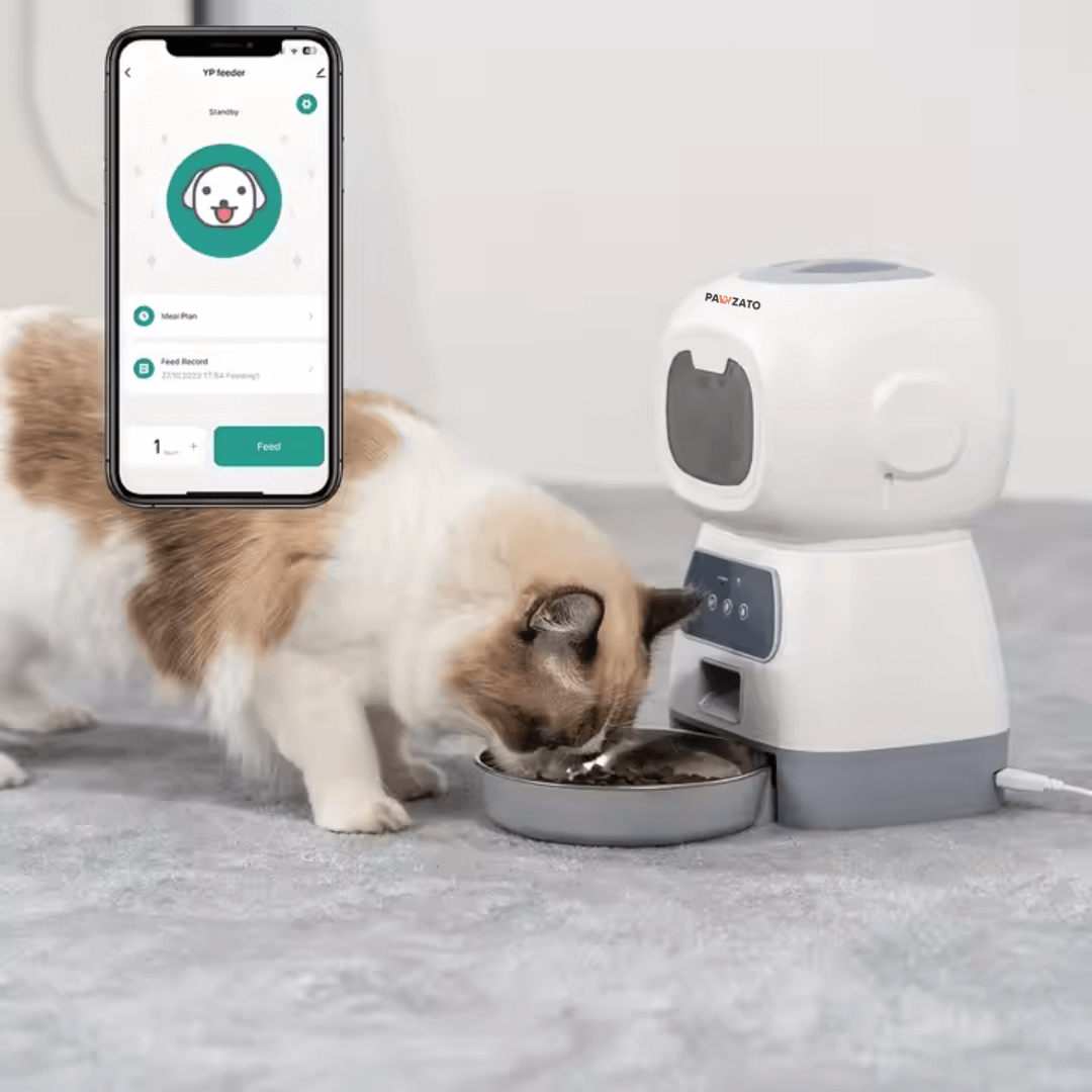 Smart Wifi Feeder
