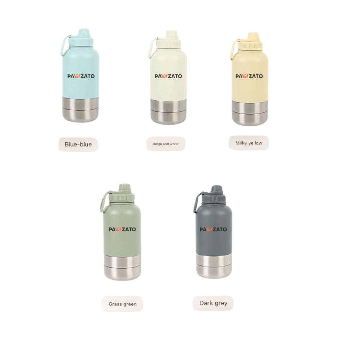 3-in-1 Stainless Steel Bottle