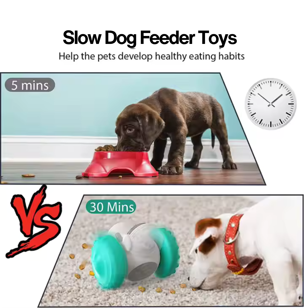 Slow Feeder Toy