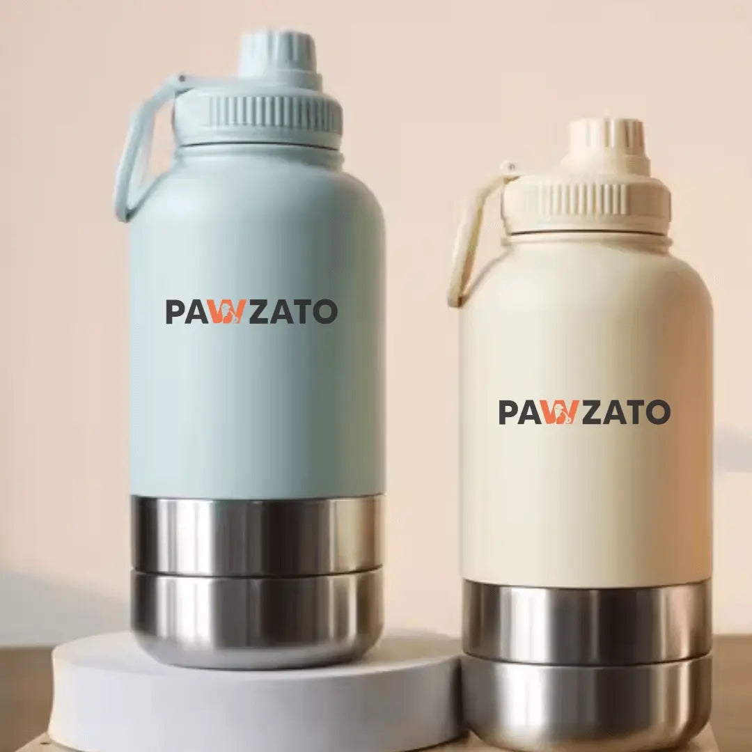 3 - in - 1 Stainless Steel Pet Bottle - Pawzato Bottle