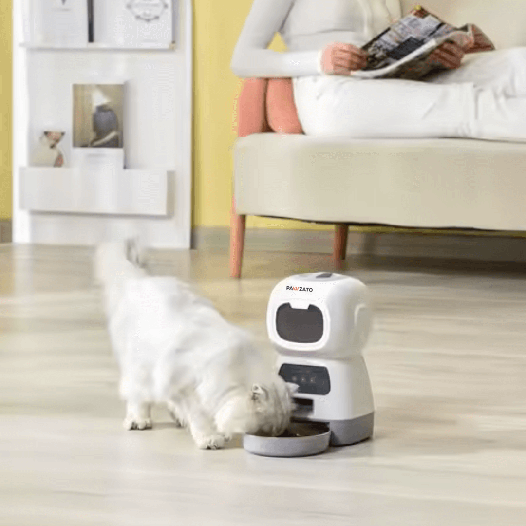 Smart Wifi Feeder