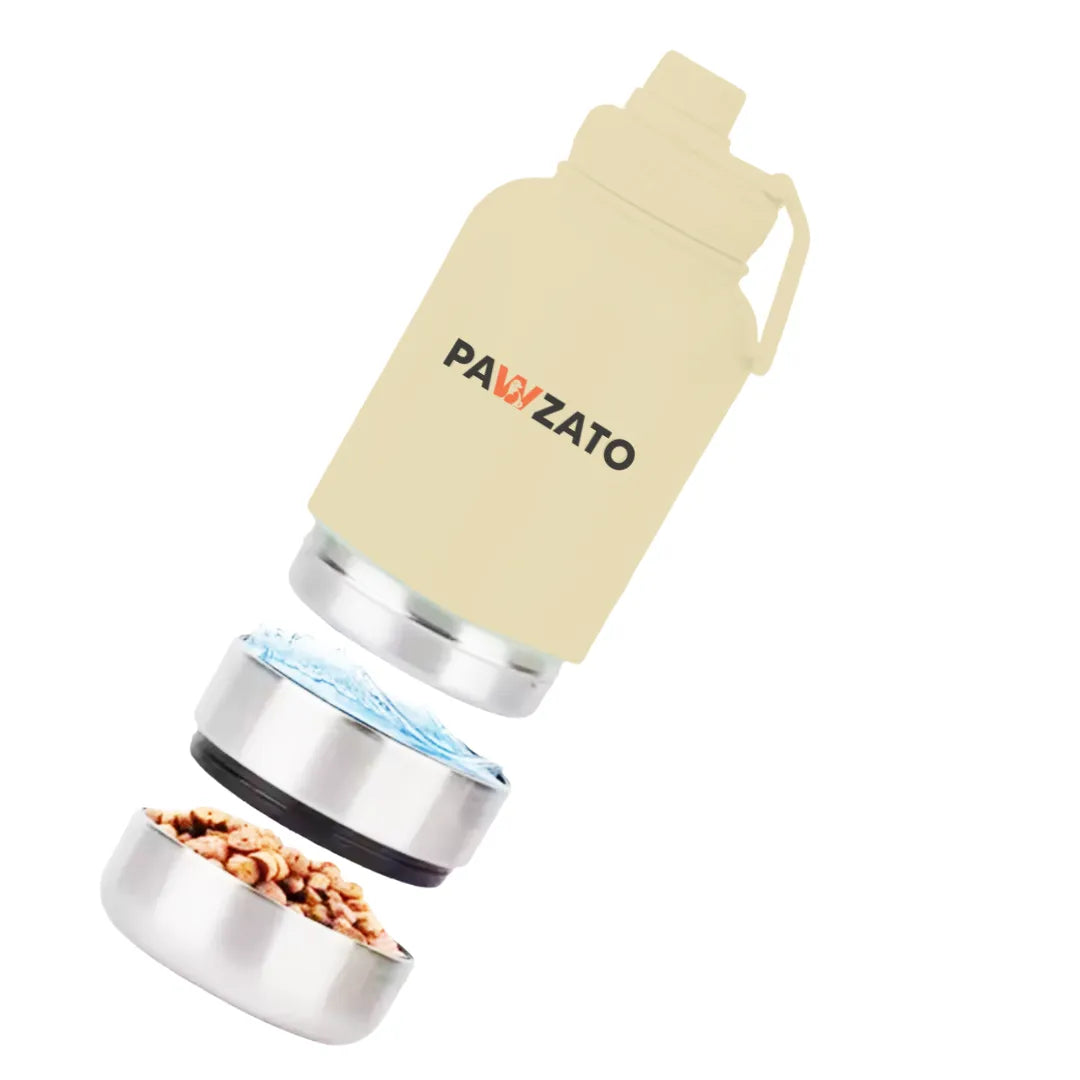 3-in-1 Stainless Steel Bottle