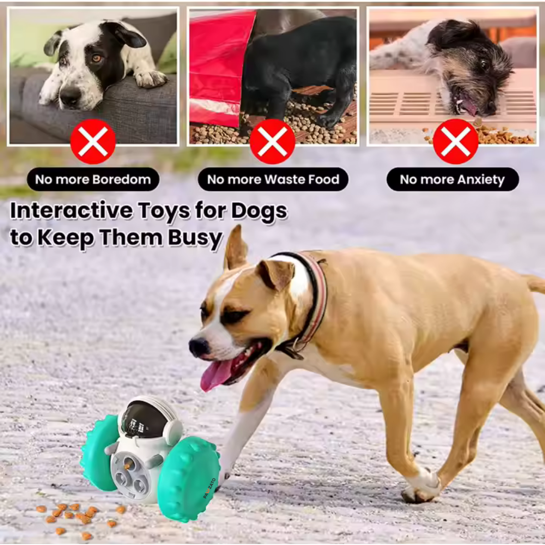 Slow Feeder Toy