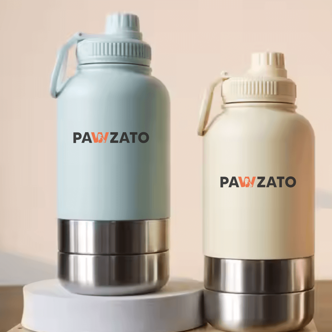 3-in-1 Stainless Steel Bottle
