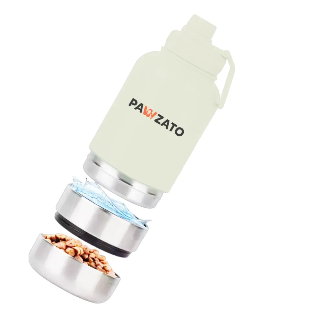 3-in-1 Stainless Steel Bottle