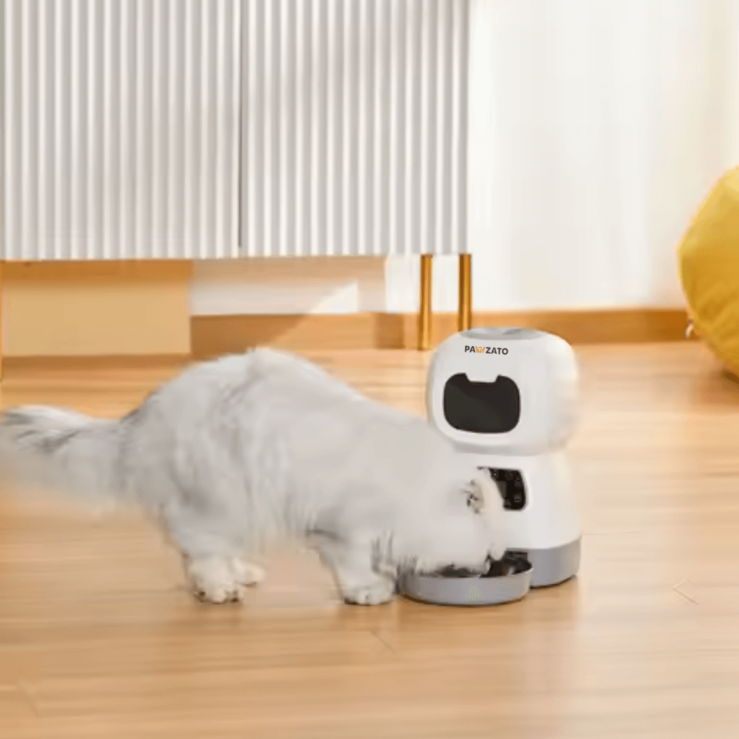 Smart Wifi Feeder