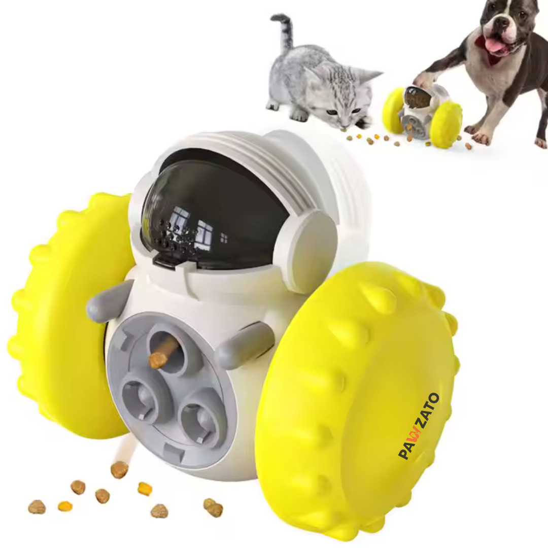 Slow Feeder Toy