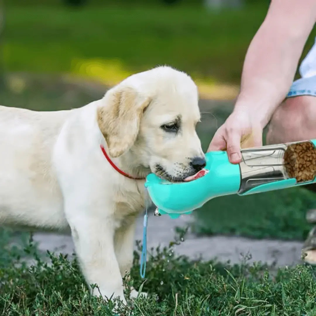 5 - in - 1 Travel Bottle - Pawzato Bottle