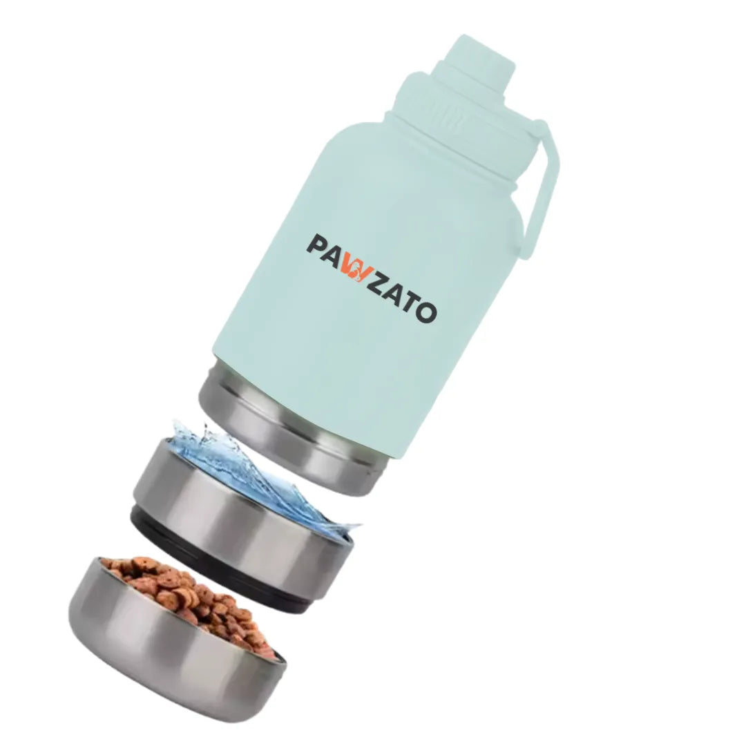 3-in-1 Stainless Steel Bottle