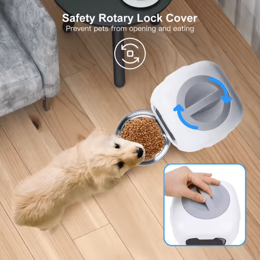 Smart Wifi Feeder