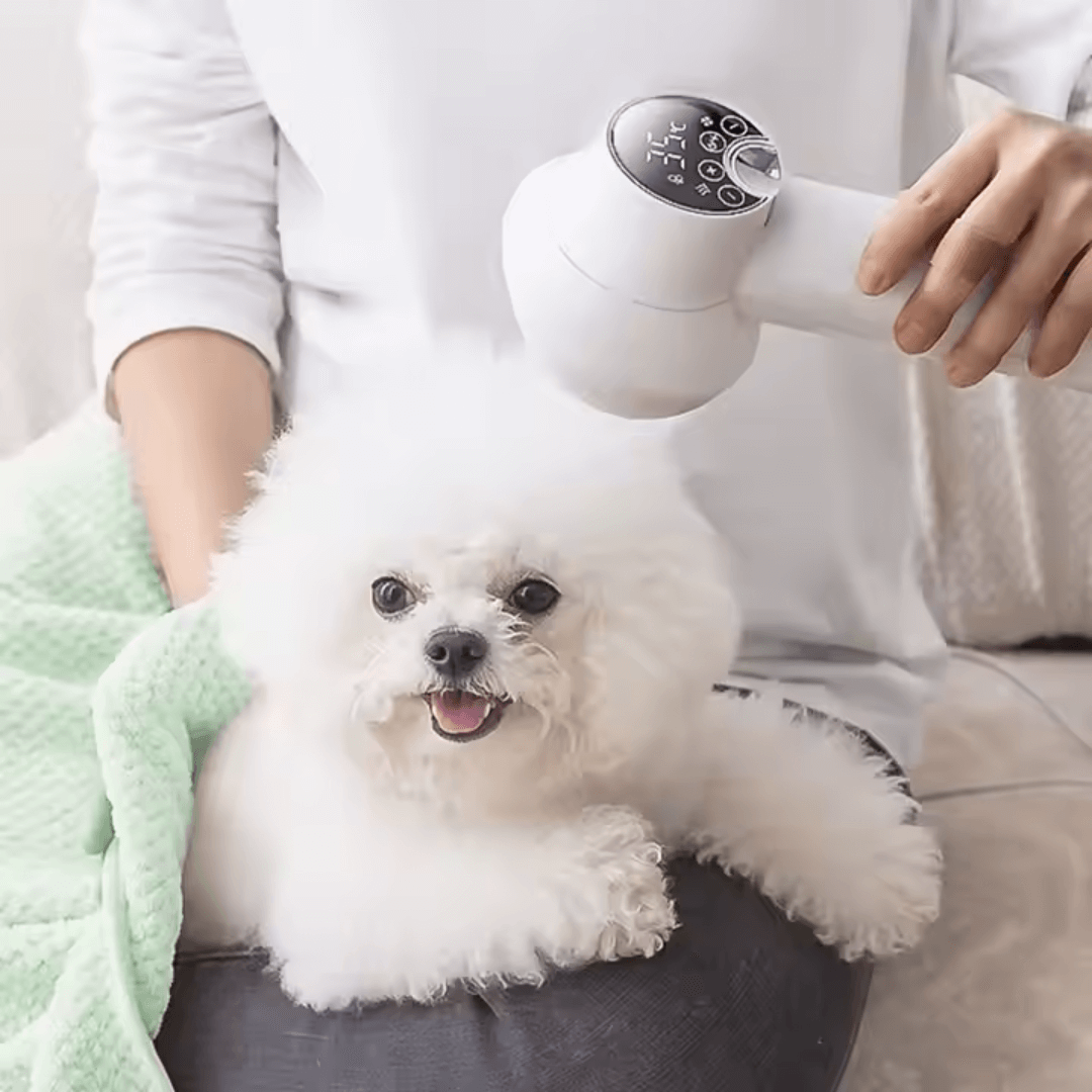Smart Pet Hair Dryer