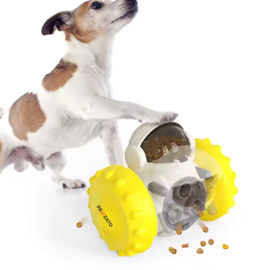 Slow Feeder Toy