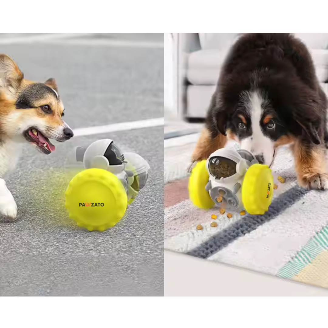 Slow Feeder Toy