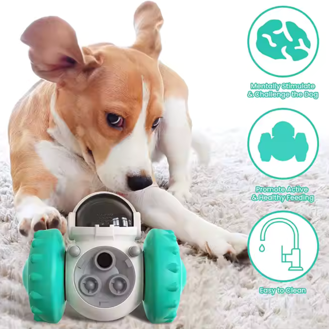 Slow Feeder Toy