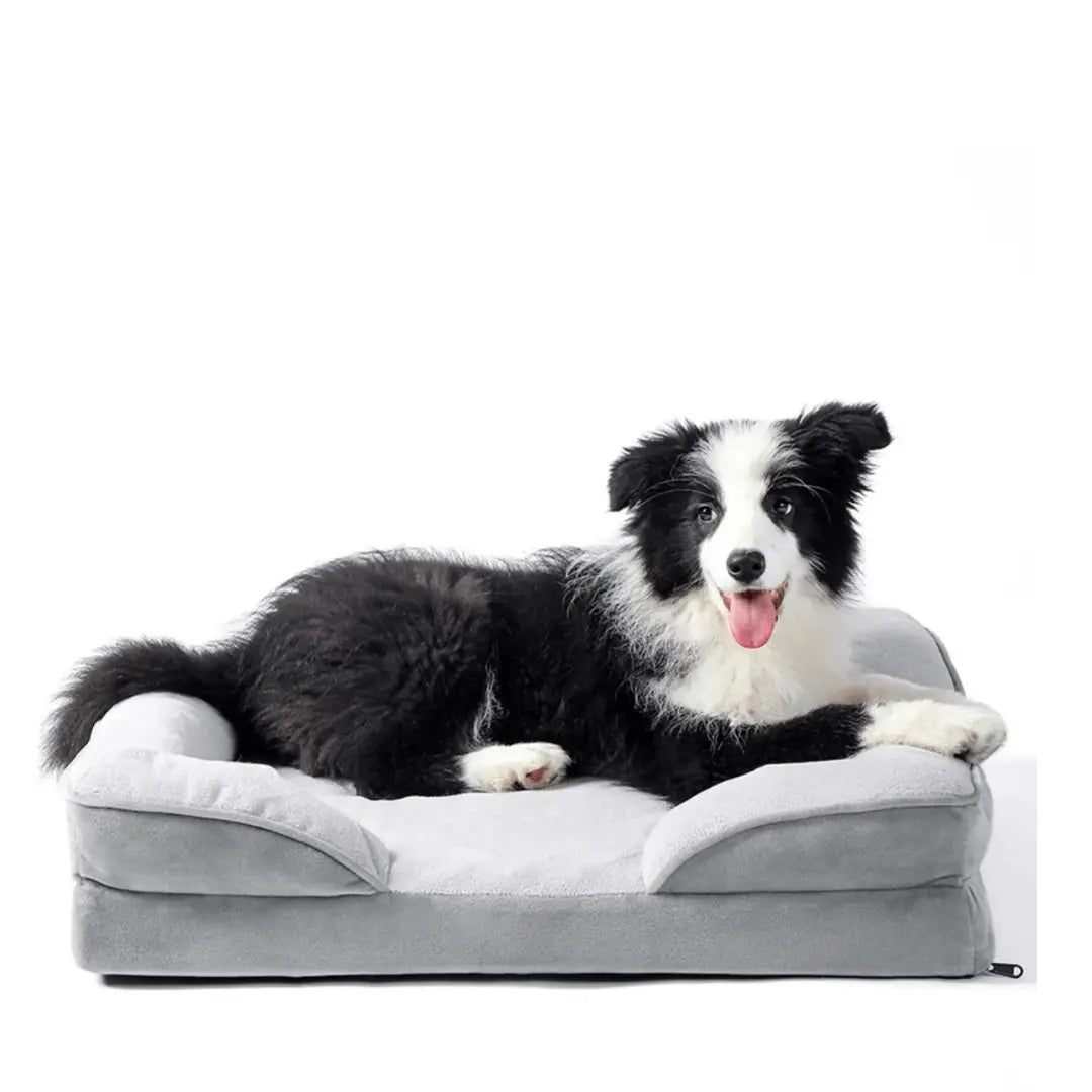 Orthopedic Pet Bed - Pawzato Bed