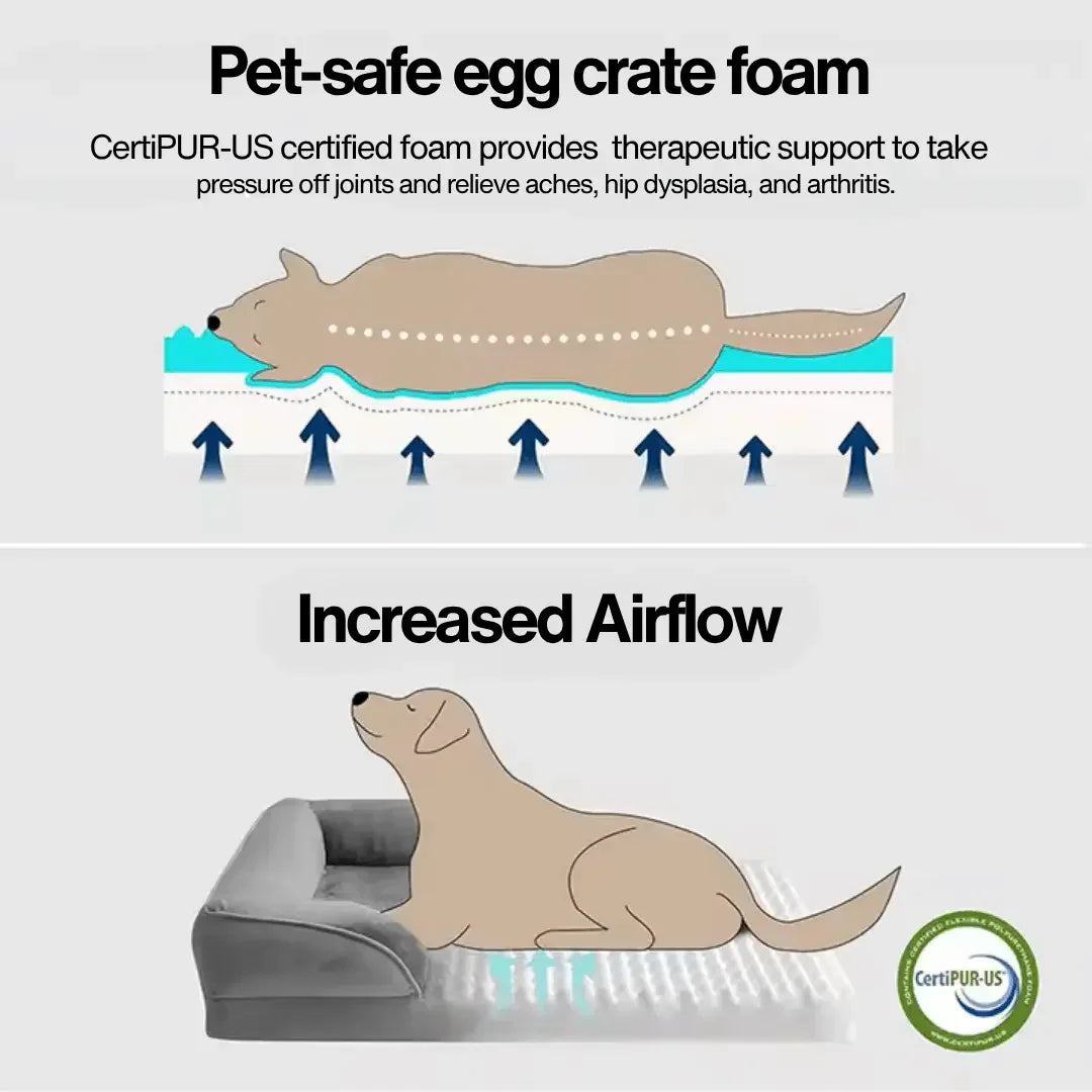 Orthopedic Pet Bed - Pawzato Bed