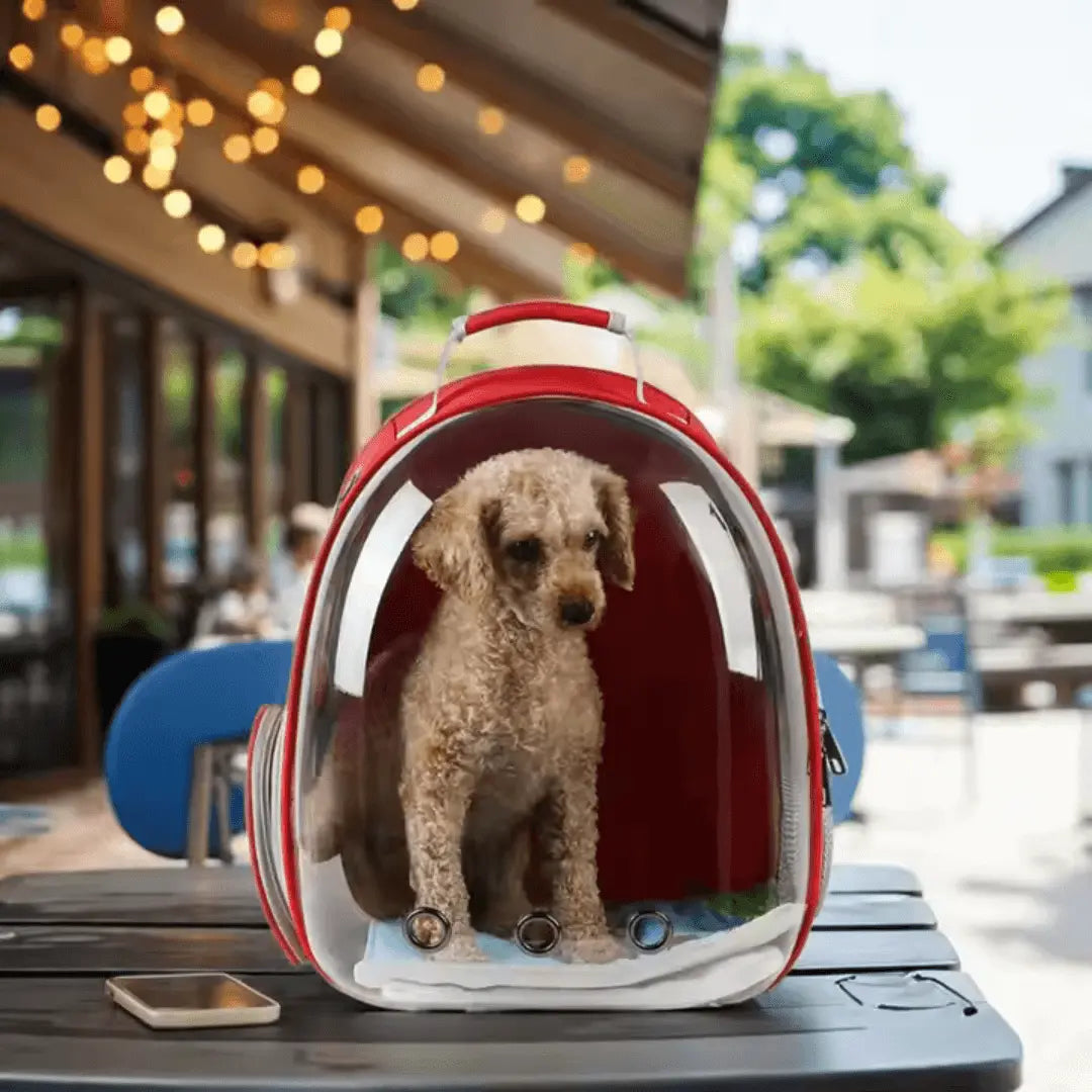 Portable Pet Backpack - Pawzato Backpack
