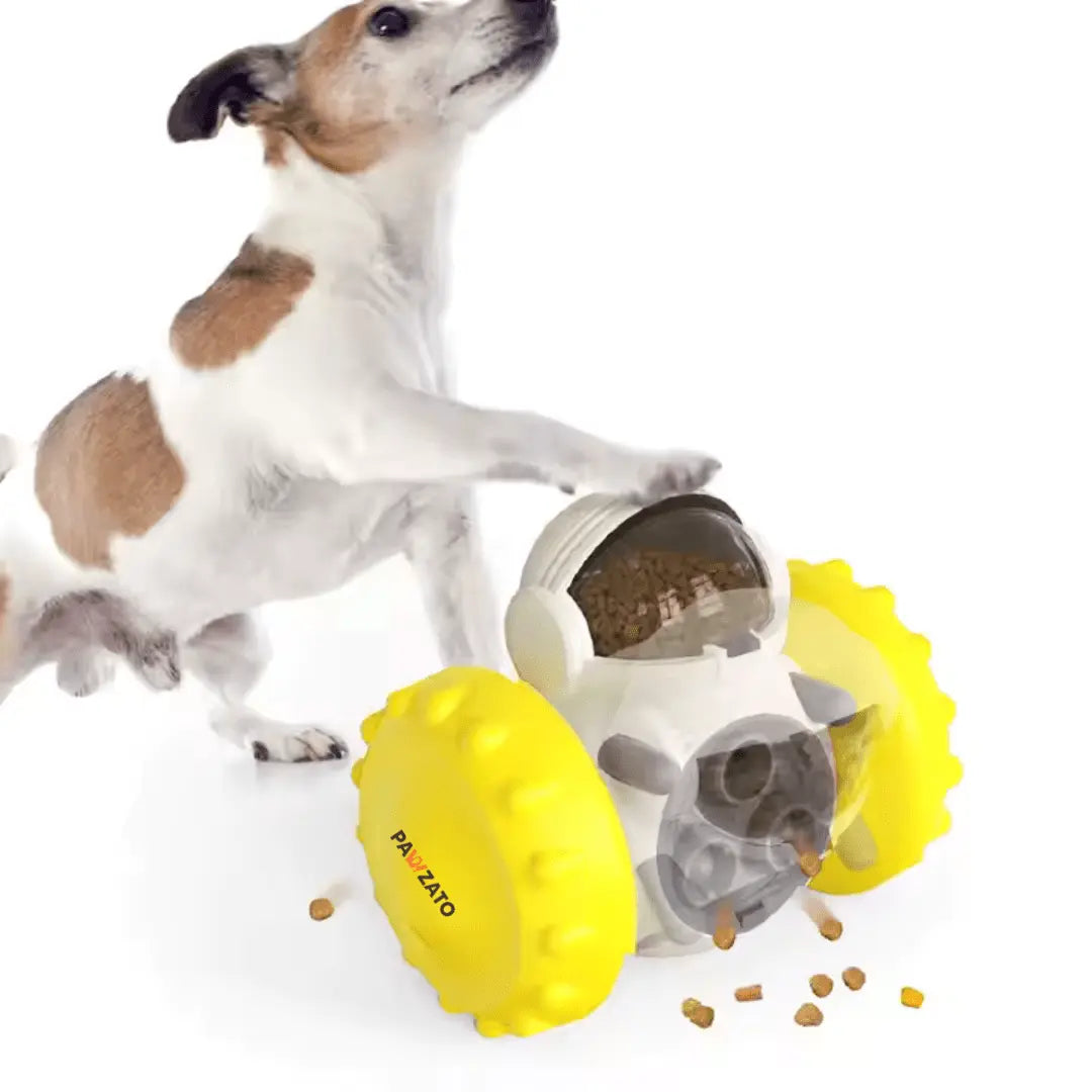 Slow Feeder Toy for Dogs & Cats - Pawzato Dog Toy