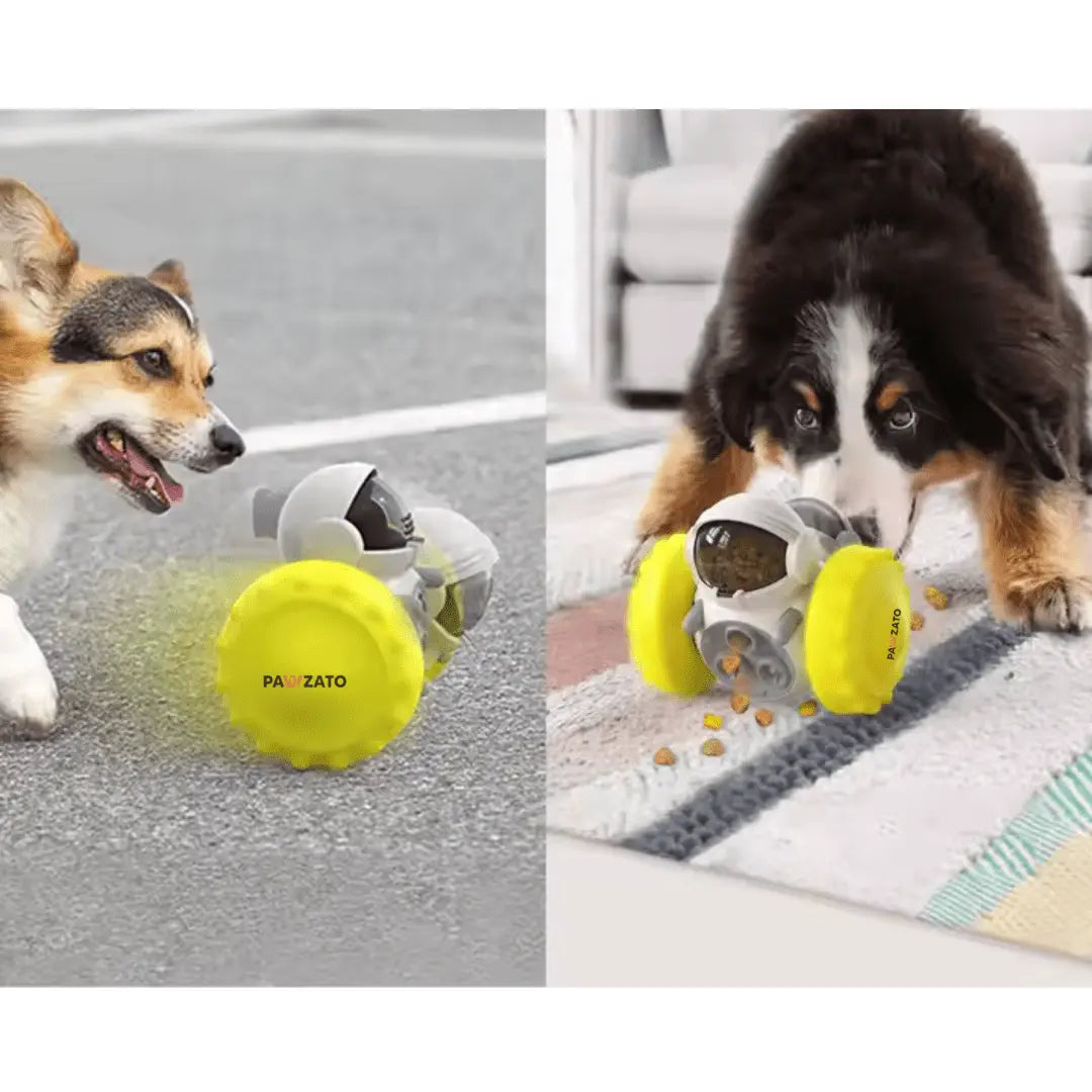 Slow Feeder Toy for Dogs & Cats - Pawzato Dog Toy