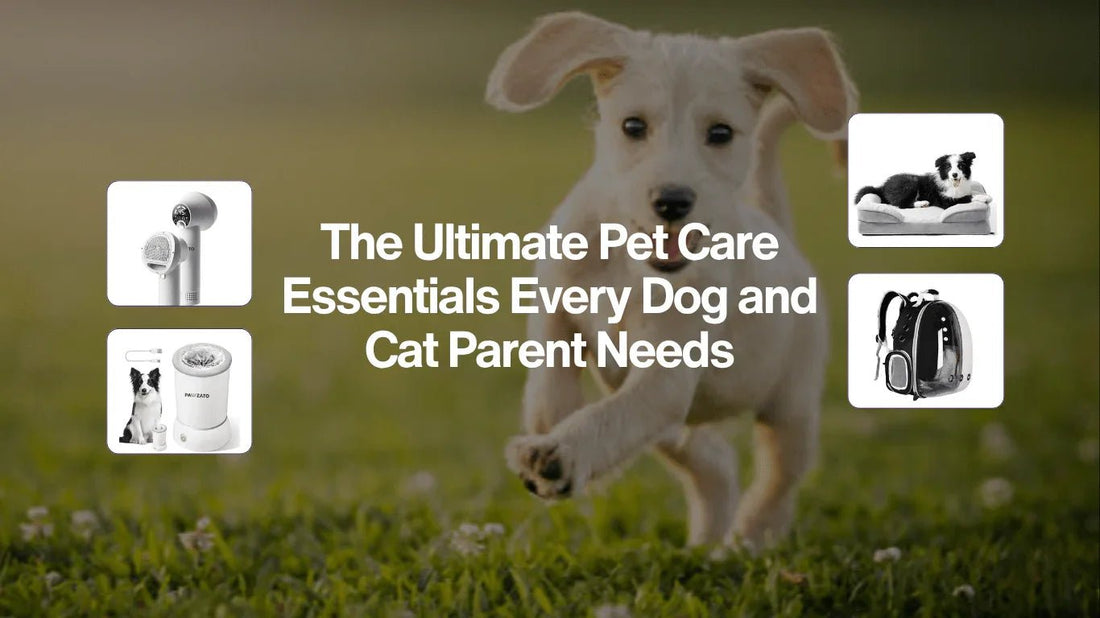 The Ultimate Pet Care Essentials Every Dog and Cat Parent Needs - Pawzato