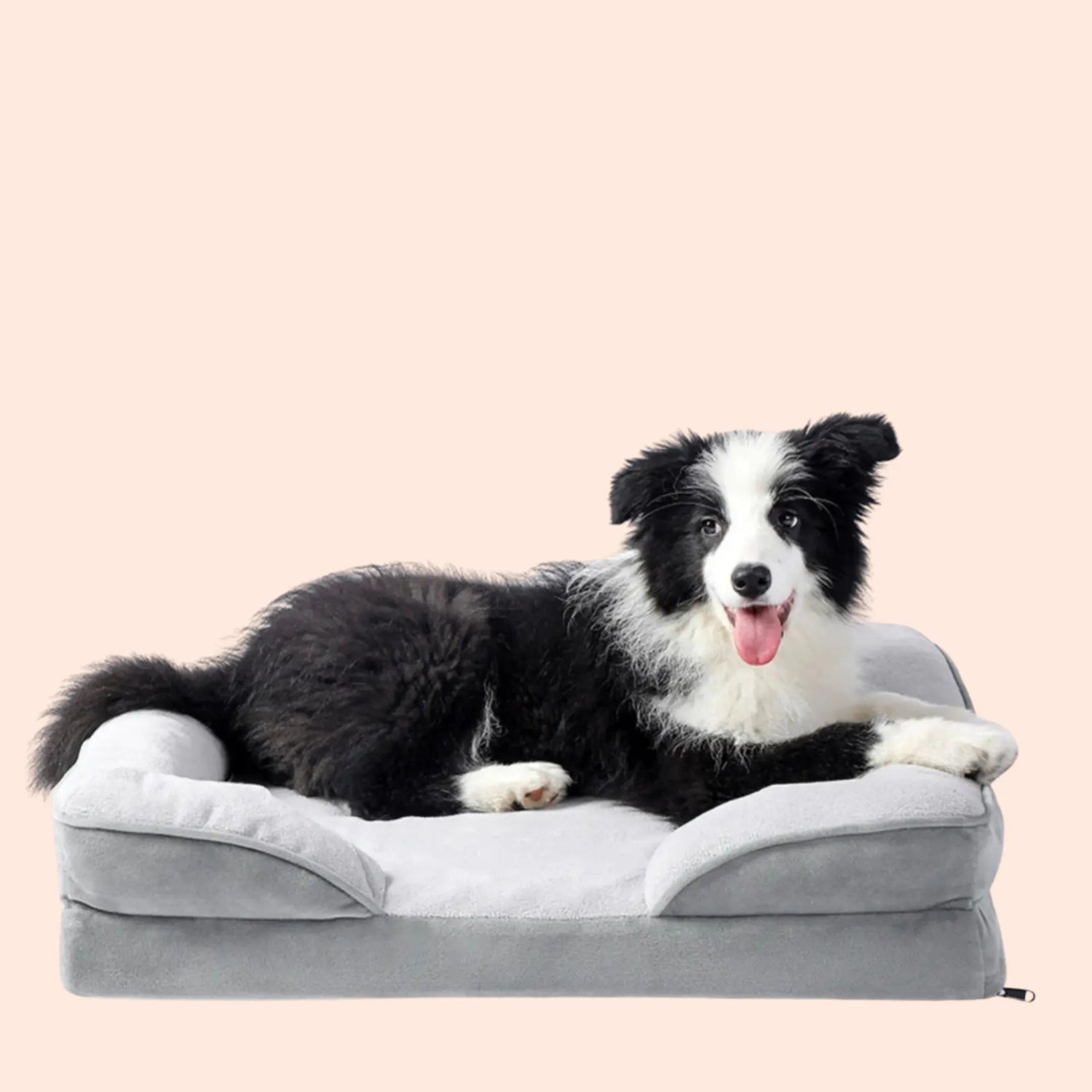 Pet Care Essentials  – Comfort & Eco-Friendly Solutions - Pawzato