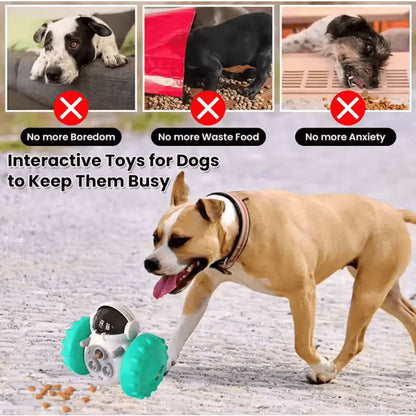 Slow Feeder Toy for Dogs & Cats - Pawzato Dog Toy